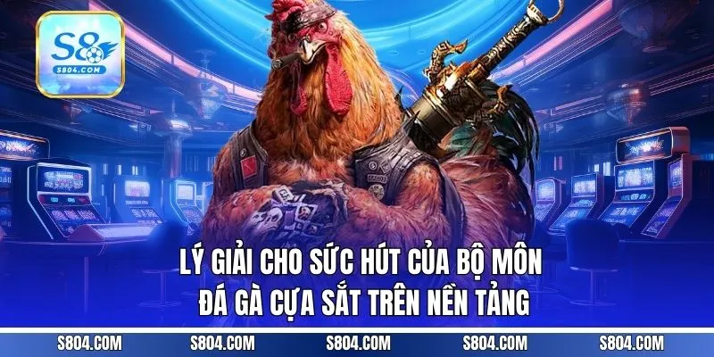 Lý giải cho sức hút của bộ môn đá gà cựa sắt trên nền tảng