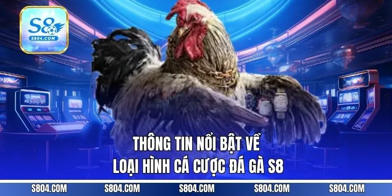 Thông tin nổi bật về loại hình cá cược đá gà S8
