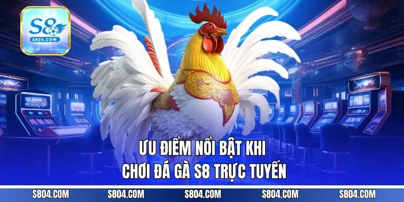 Ưu điểm nổi bật khi chơi đá gà S8 trực tuyến